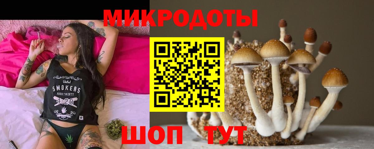Галлюциногенные грибы Magic Shrooms Лениногорск