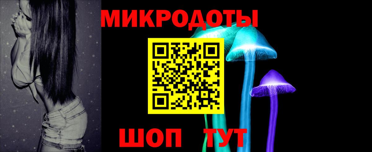 Лениногорск  Псилоцибиновые грибы Psilocybe  Вход с VPN 